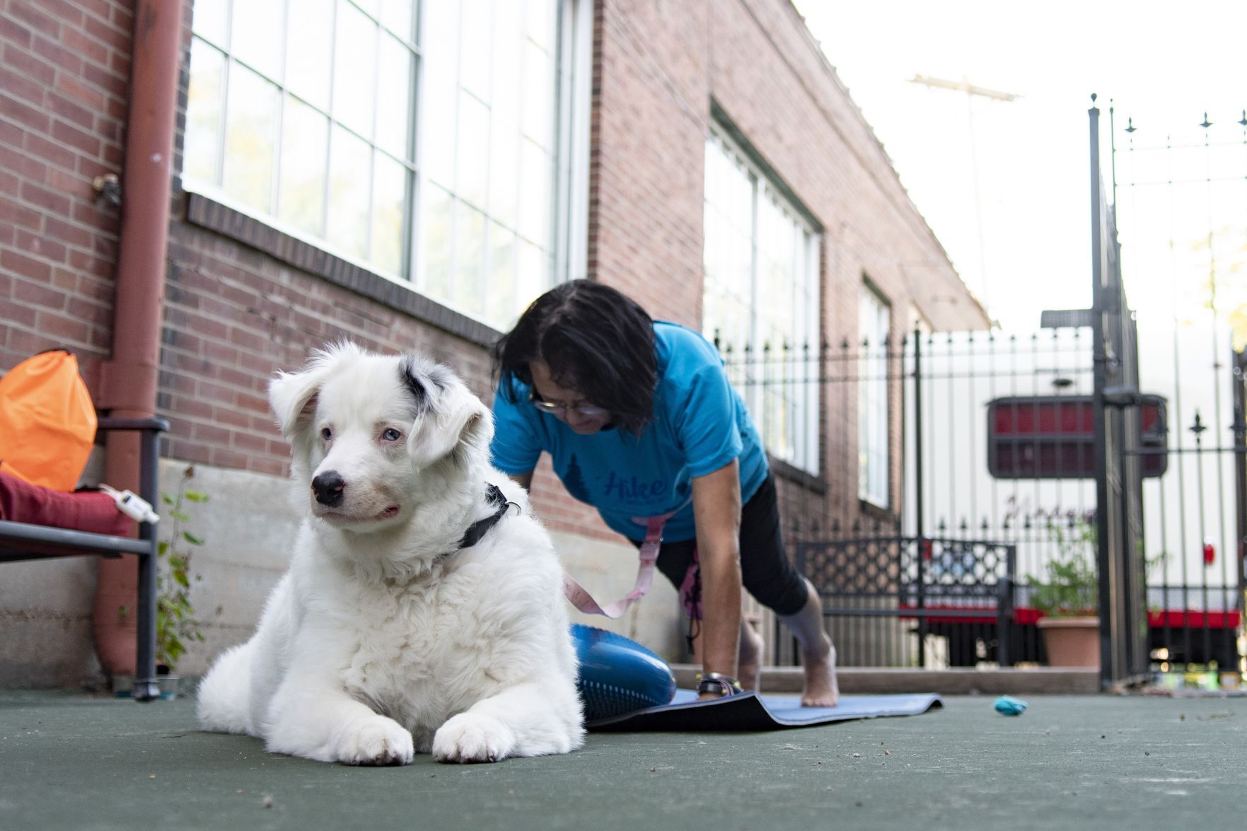 'Yappy Hour Yoga' combines pets with fitness